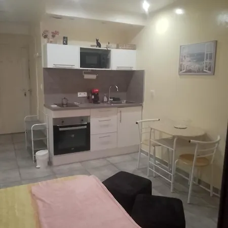 Apartment Alice Cannes